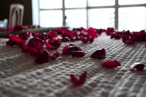 褐色天使在海边激情做爱  背景图片