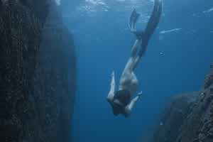 裸体美人鱼  背景图片