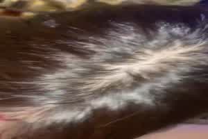 和妹妹第二段，鸡巴都操红了  背景图片