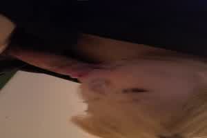 金发口交妹  背景图片