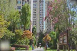 戴拉拉 与曾经暗恋的女神共度春宵  背景图片