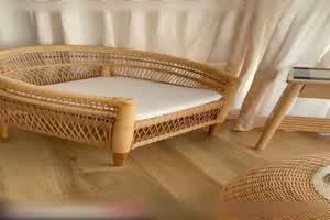 有钱大爷找个羞涩的学生妹来服务一下  背景图片