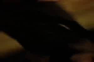 颜值女神户外真空掰穴露逼  背景图片