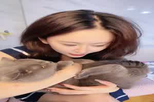 风情万种骚御姐  背景图片