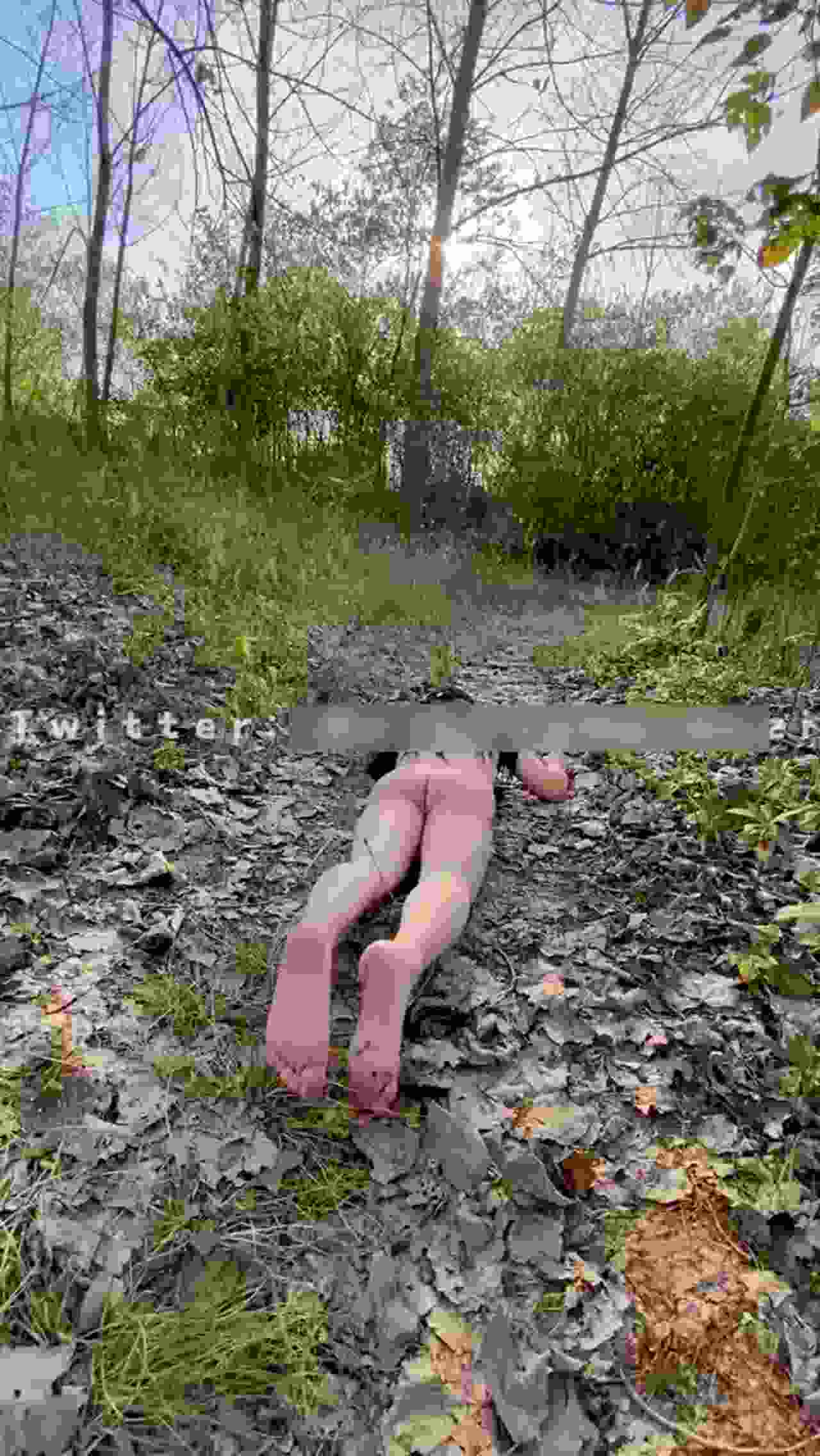  野外的流浪小母狗 的剧照2