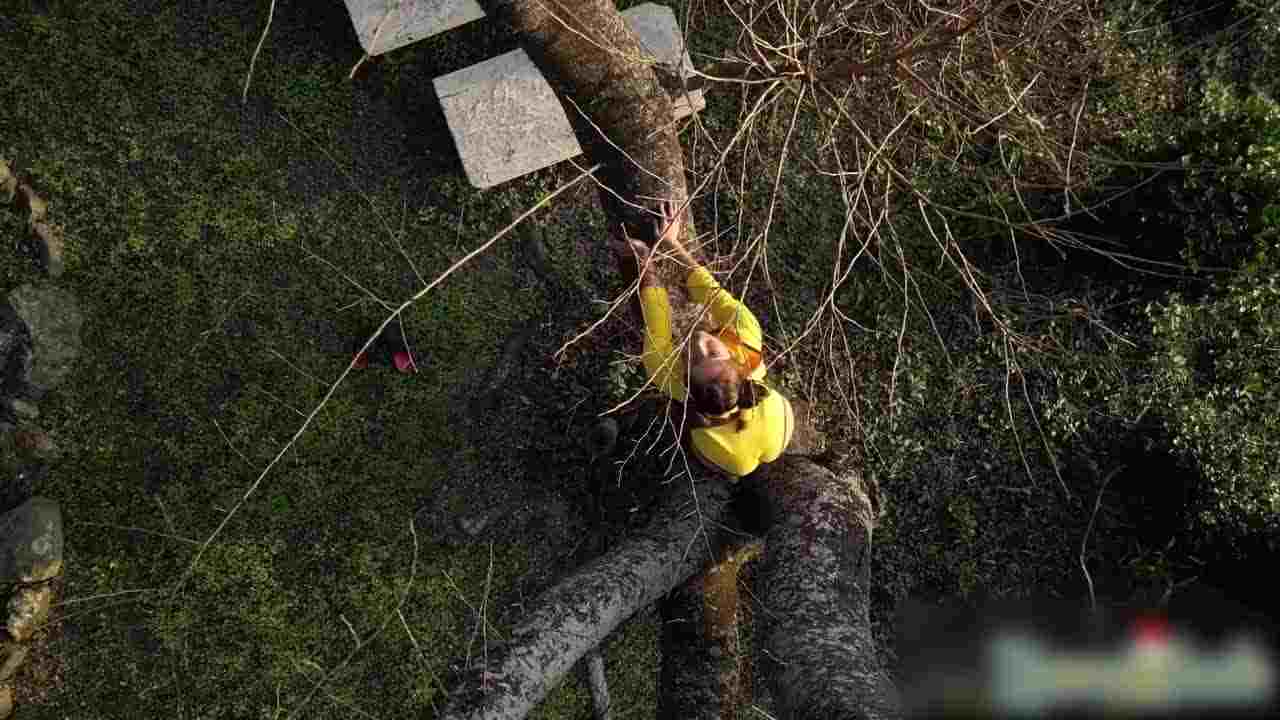  Naomi 皮卡丘小姐姐我要捕捉你 的剧照4