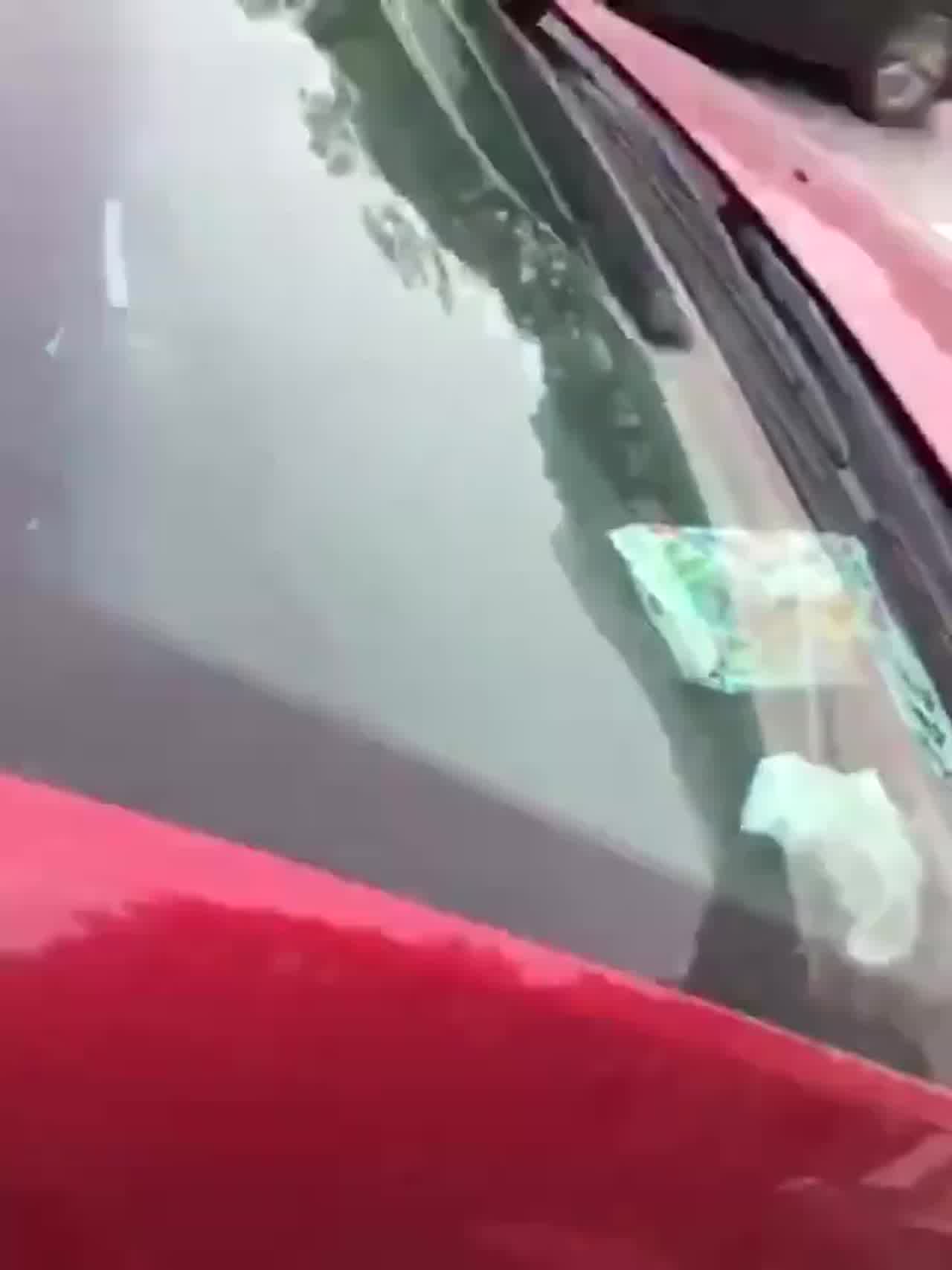  高速公路上刺激 的剧照5