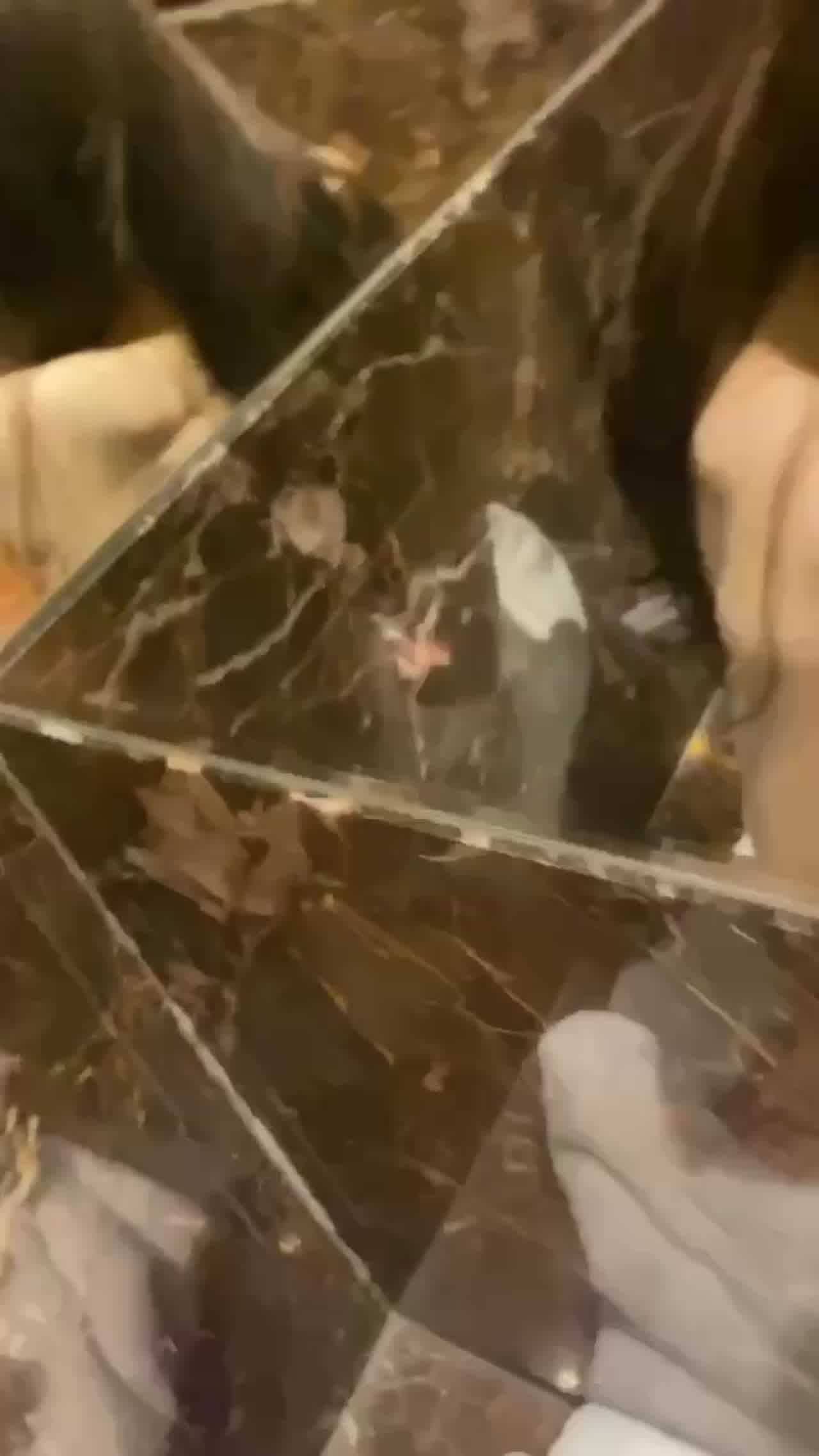  激吻干炮一气呵成浓烈的荷尔蒙在燃烧 的剧照10