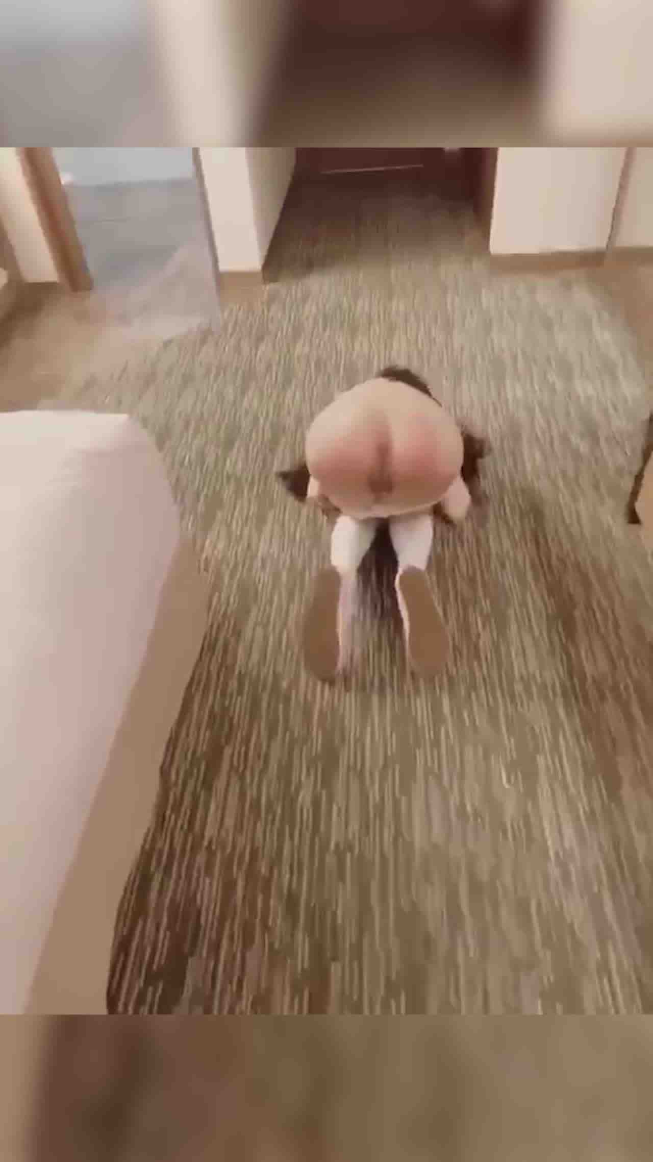  幼齿骑马骚屄好爱被艹 的剧照9