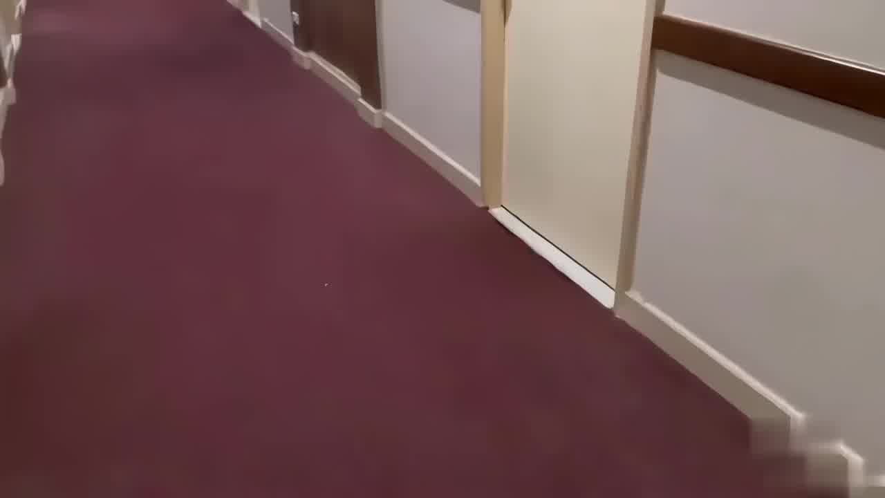  泰国神游与漂酿女神深入做爱实录 的剧照8