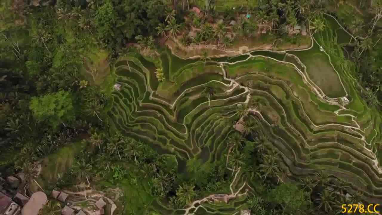  长腿嫩模外地旅游酒店激情干炮自拍男友大屌快速抽插 的剧照8