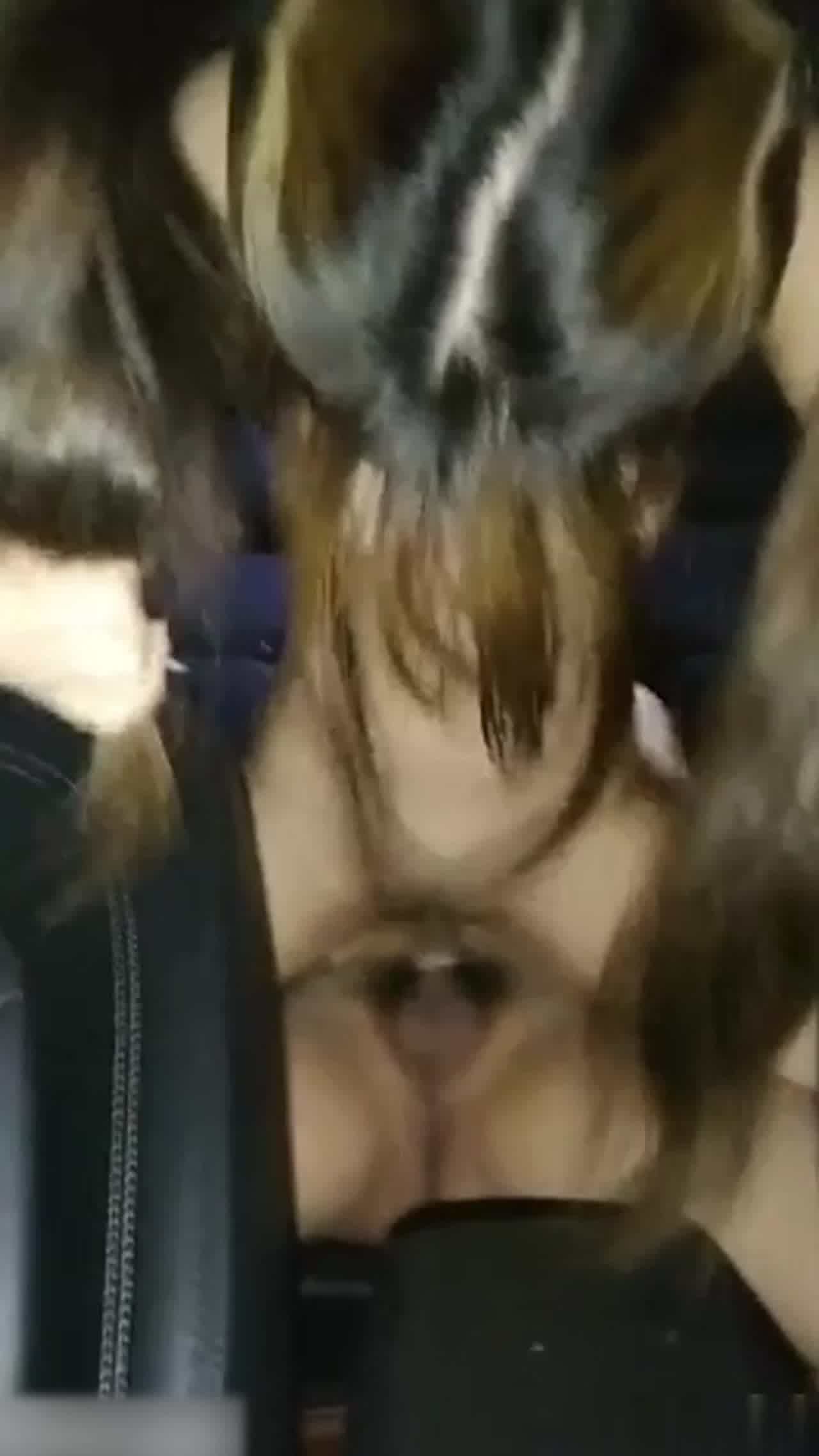  城里人真会玩 野炮后车厢 的剧照6