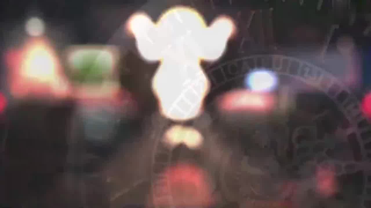  【Hololive】阿梅利亚·华生 直播间被黑鸡巴入侵 的剧照2