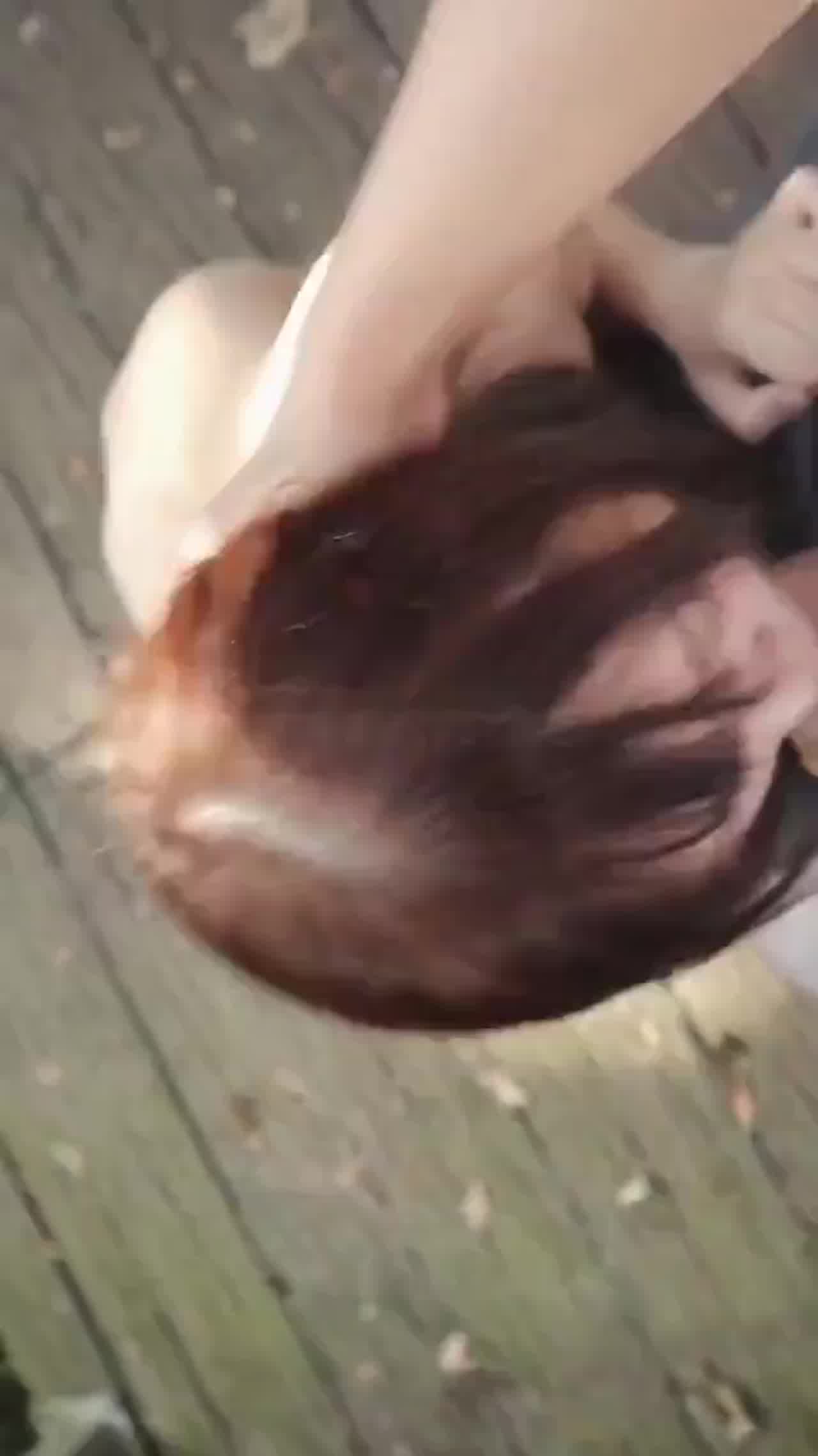  户外晨练带只母狗必要时口一口 的剧照2