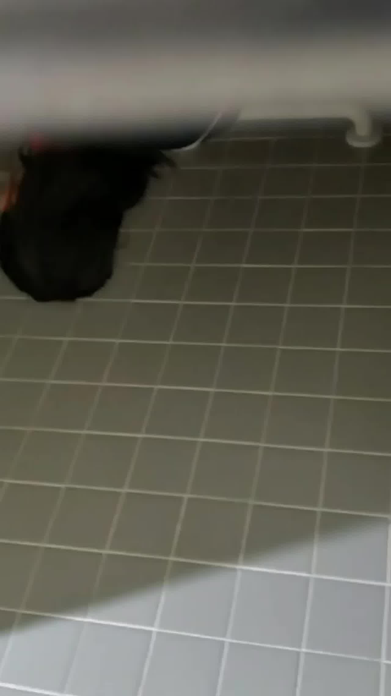  太变态了，用妹子换下的姨妈巾撸管子 的剧照4