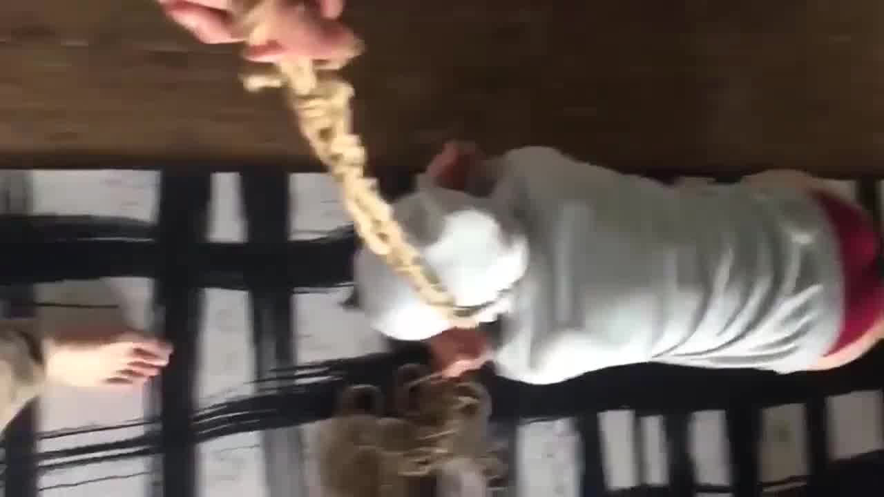  美乳女神唯美情色艺术照x调教双享炮~ 的剧照2