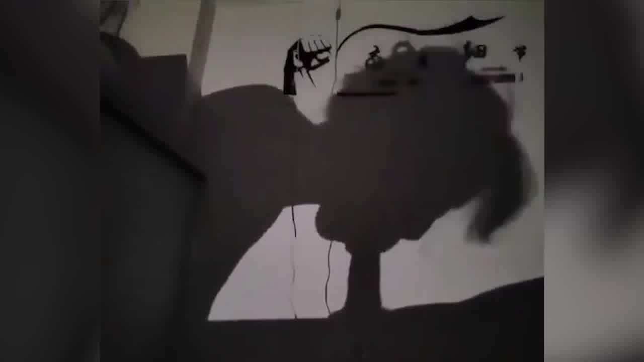  影子口交术 的剧照6