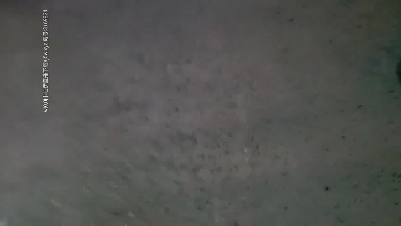  偷拍大师红灯区体验美女技师~用屁股让你舒爽 的剧照4