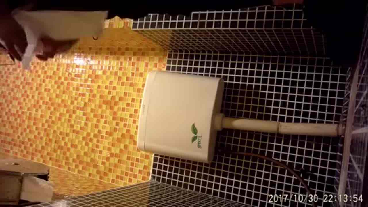  卫生间偷拍颜值极美的商场导购如厕，白虎嫩逼不错不错 的剧照8