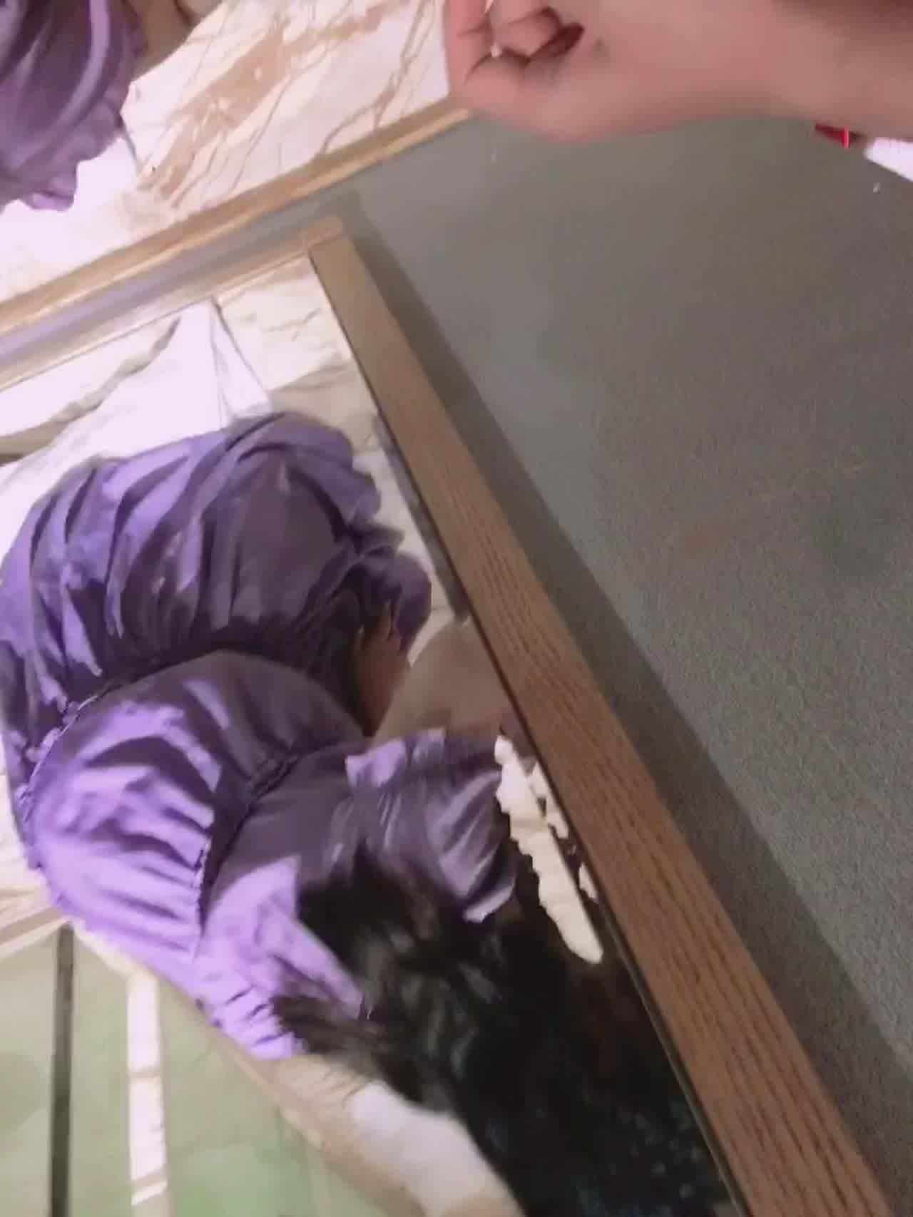  舔主人的大鸡巴 的剧照9